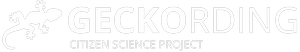 Geckording Logo